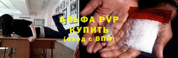индика Снежногорск