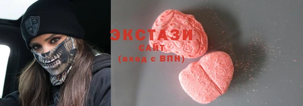 индика Снежногорск
