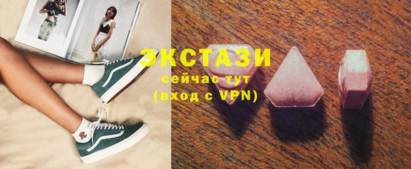 индика Снежногорск