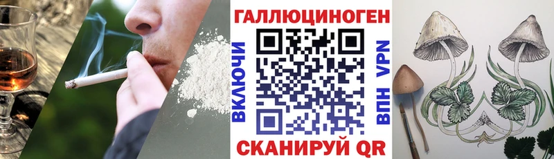 Псилоцибиновые грибы Psilocybine cubensis  Кузнецк 